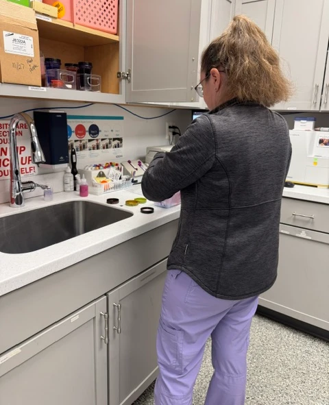 veterinarian checking tongue teeth dog