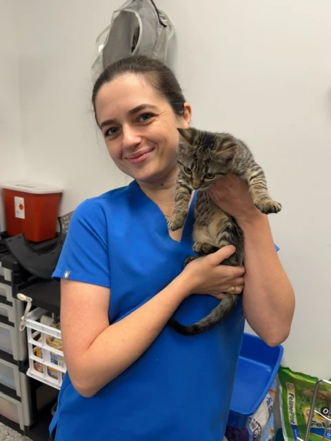 vet holding a brown furry dog