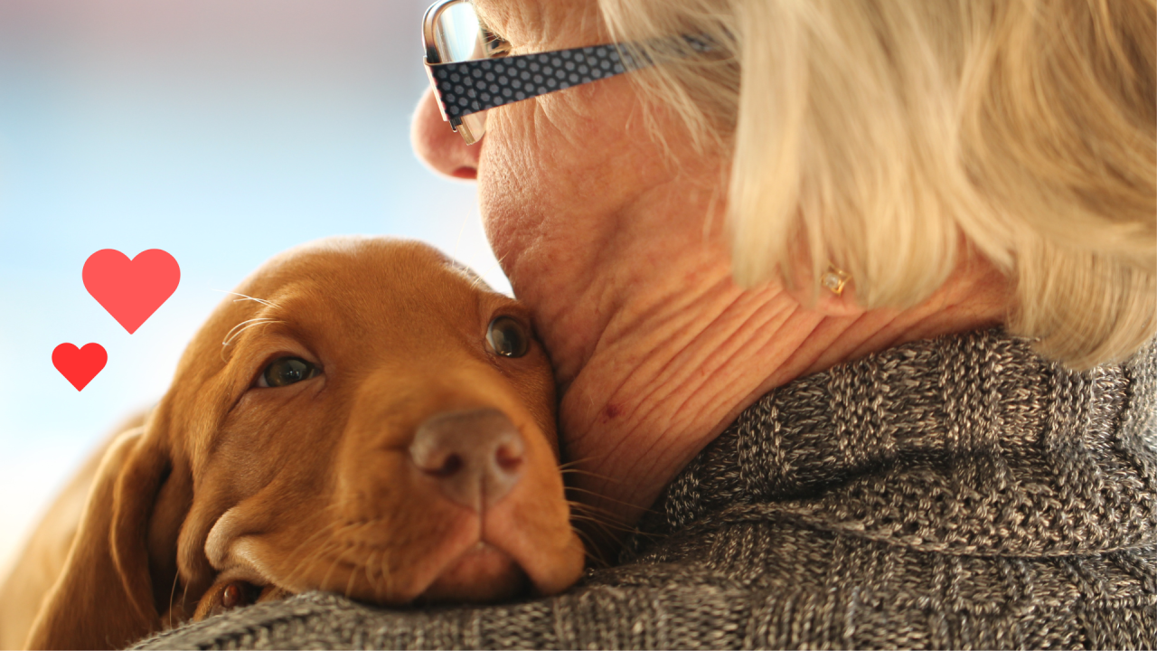 New dog bonding with an owner being supported by Homeward Bound Veterinary Services in Bel Air, MD