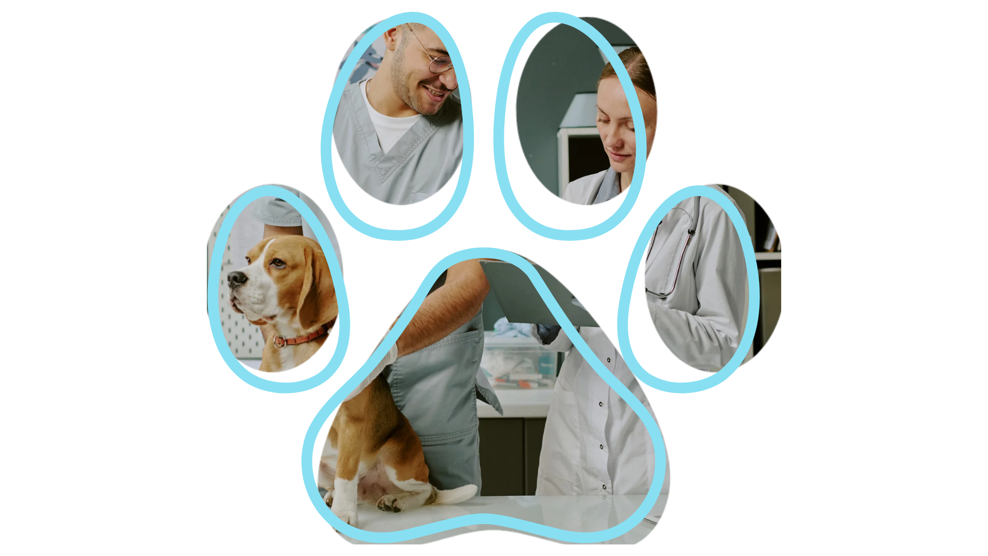 Veterinarians examining a beagle, with dog and doctors framed in paw-shaped cutouts.