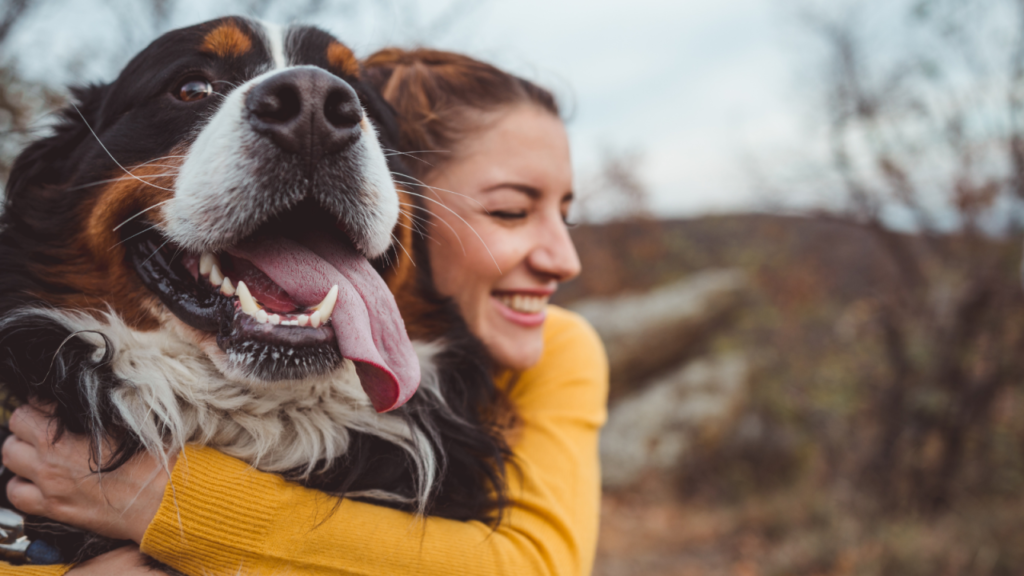 Woman in a yellow sweater happily hugging a fluffy, large dog with its tongue out.
